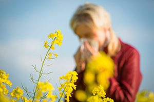 Two Ways to Beat Spring Allergies with HVAC Maintenance