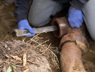What Are Signs That a Sewer Line is Clogged?