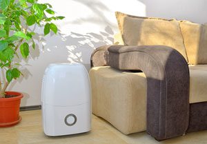 smoaks-dehumidifer_orig