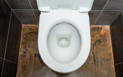 Noises Your Toilet Makes and Why They Occur