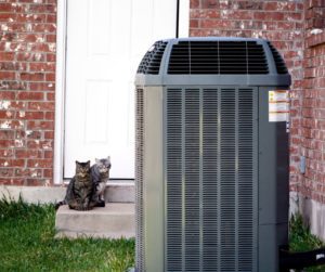 Air-Conditioning-Unit-with-Cats-in-Background