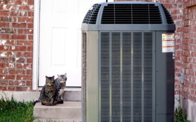 Unraveling the Mystery of Your AC Freezing Up on James Island