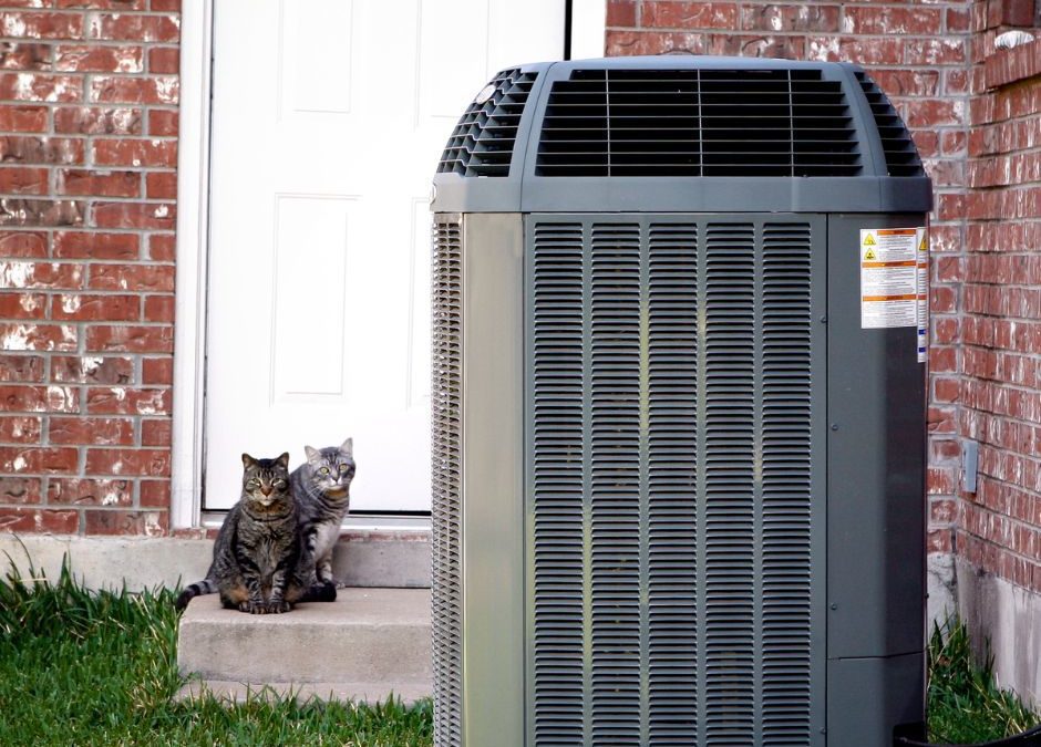 Air-Conditioning-Unit-with-Cats-in-Background