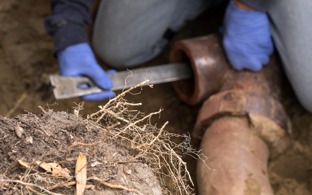 What Are Signs That a Sewer Line is Clogged?