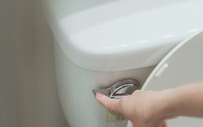 Why is My Toilet Tank Empty: Common Reasons for a Lack of Water
