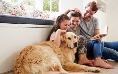 HVAC Tips for Pet Owners: Ensuring Comfort for You & Your Furry Friends