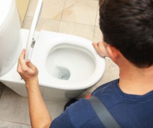 Plumber-Lifting-Toilet-Seat