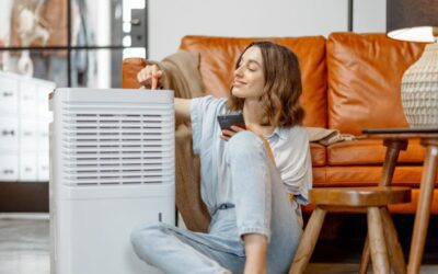 Two Main Benefits of Having a Dehumidifier During the Charleston Summer Heat
