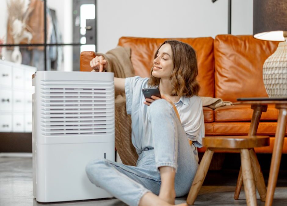 Two Main Benefits of Having a Dehumidifier During the Charleston Summer Heat