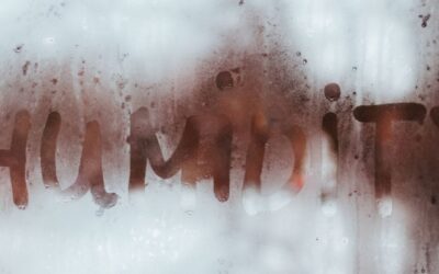 The Ideal Humidity for Home: Finding a Balance for Comfort and Health